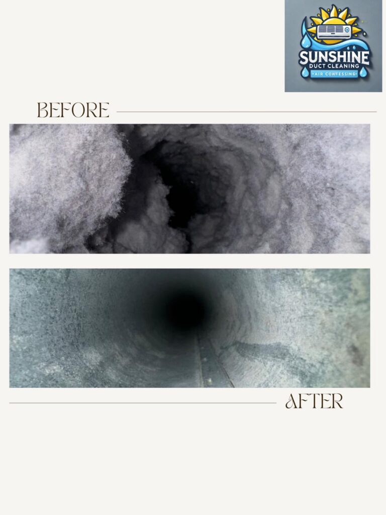 Before and after duct cleaning in Palm Harbor FL